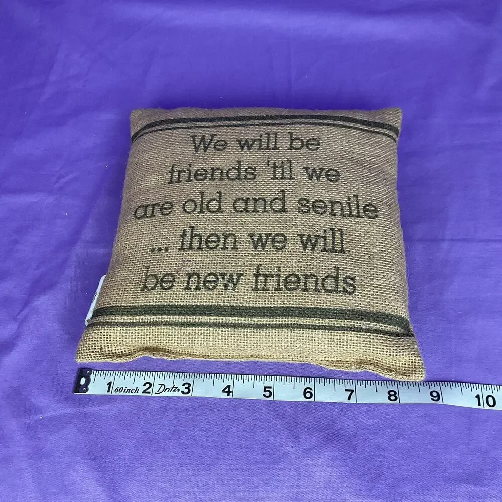 Burlap Friendship Accent Pillow - Funny Best Friends Quote Decor Pillow